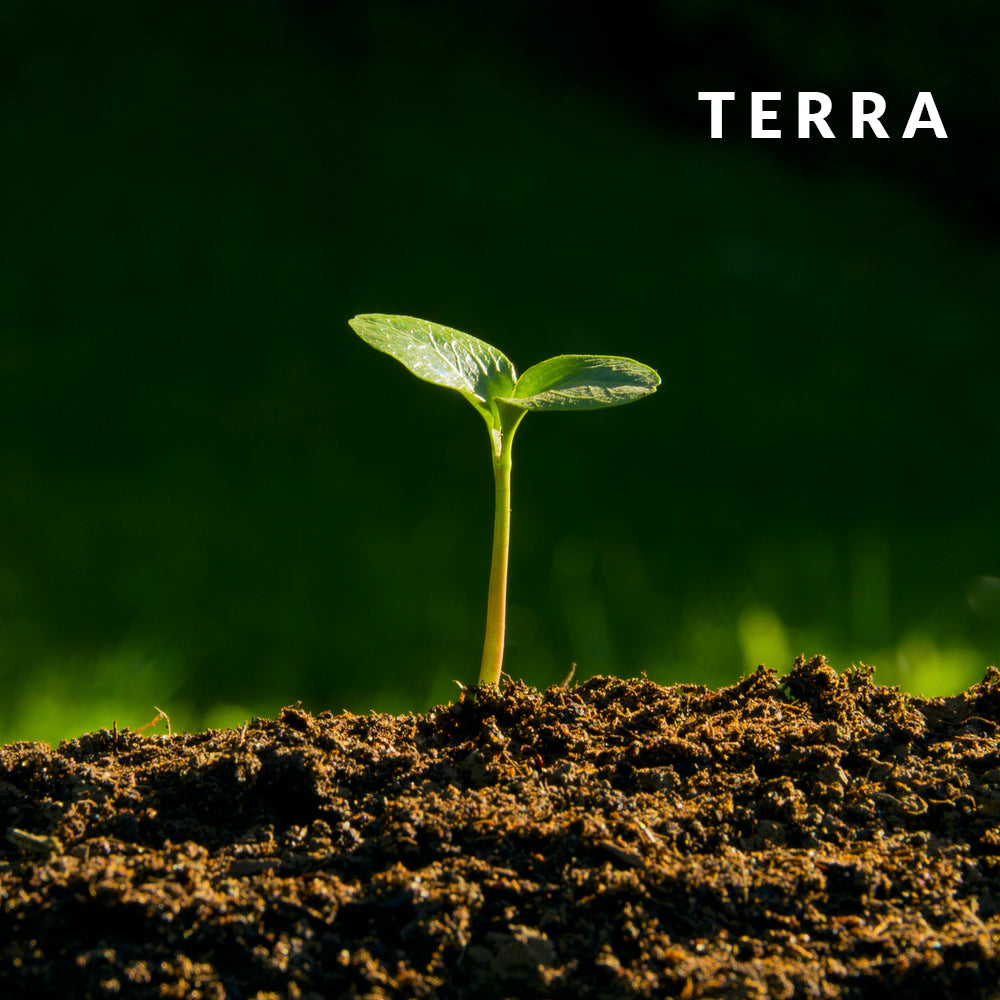 Terra