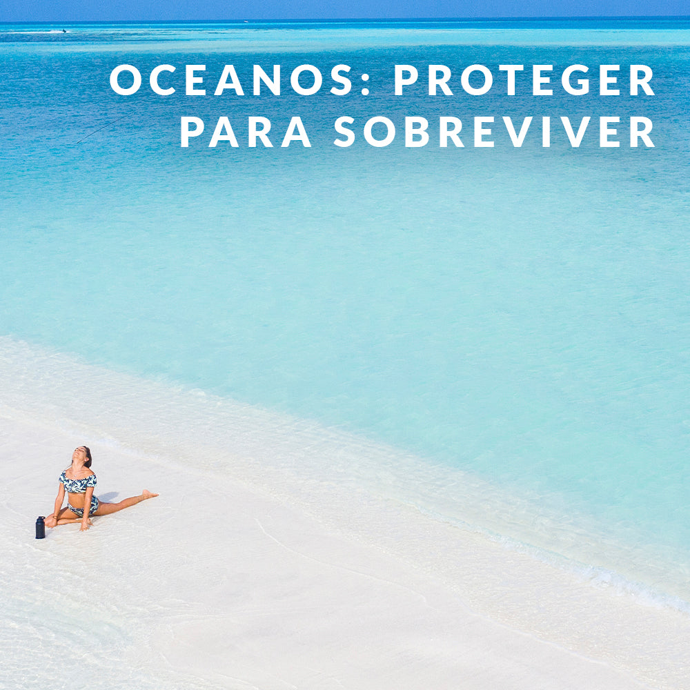 Dia mundial dos oceanos: proteger para sobreviver