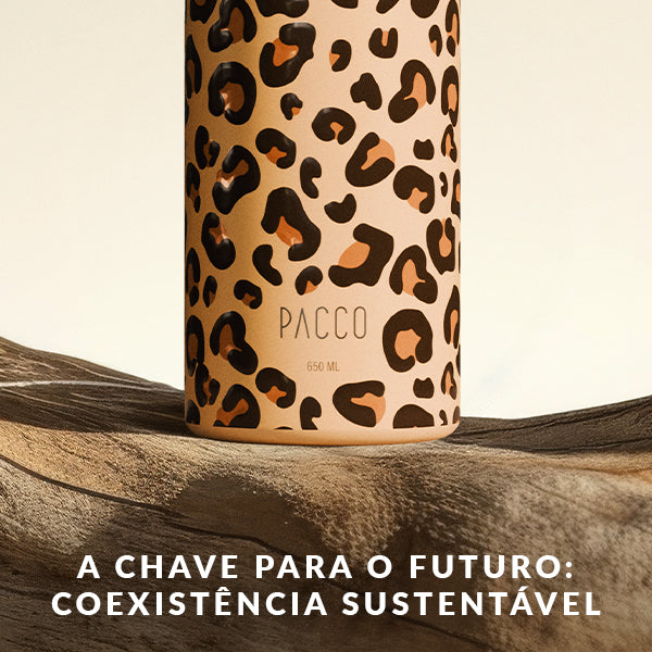 A Chave para o Futuro: coexistência sustentável