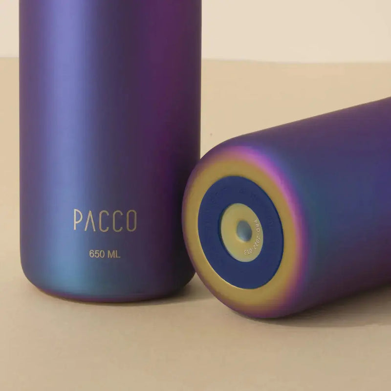 Garrafa Térmica Hydra V2 650ml