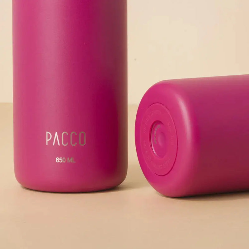 Garrafa Térmica Hydra V2 650ml