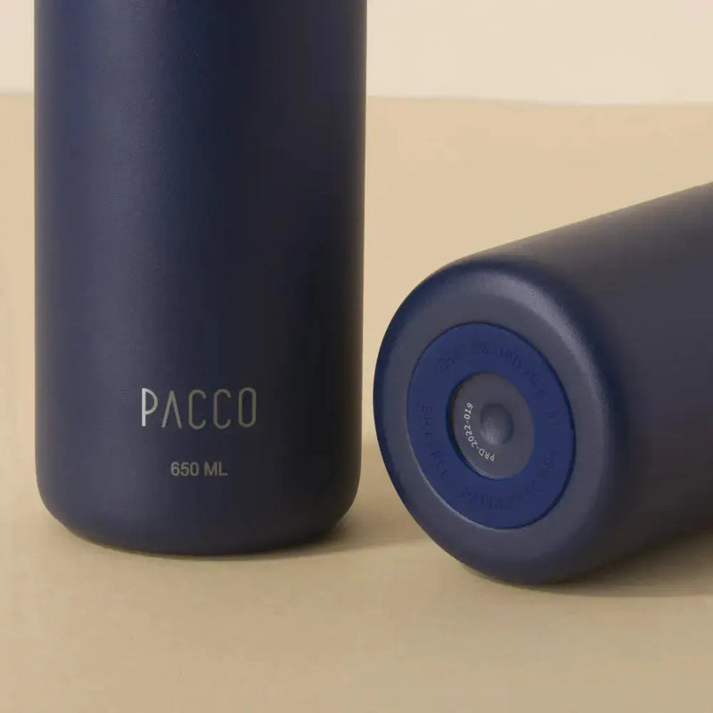 Garrafa Térmica Hydra V2 650ml