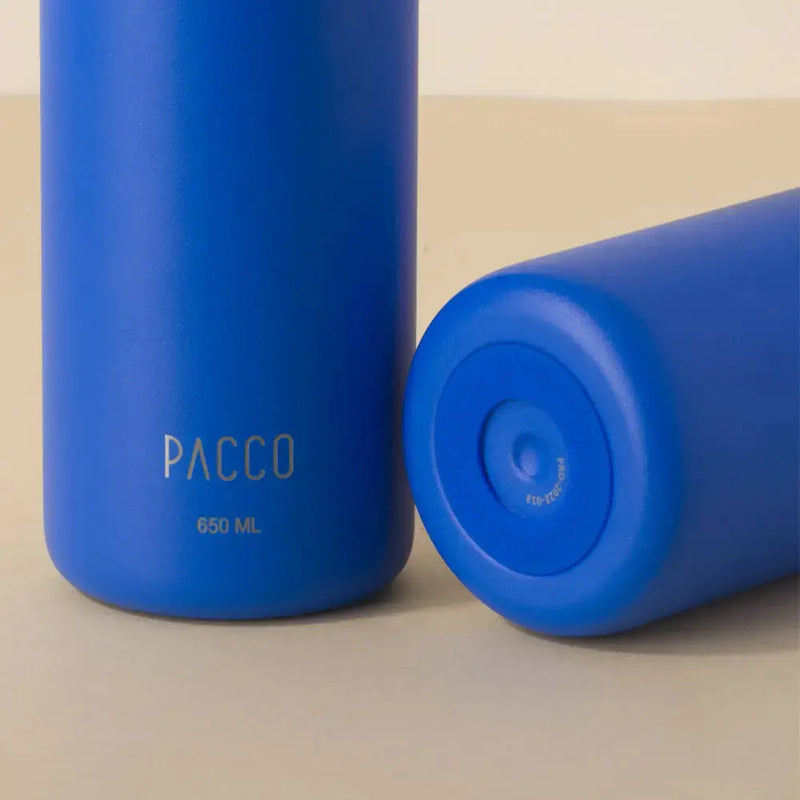 Garrafa Térmica Hydra V2 650ml