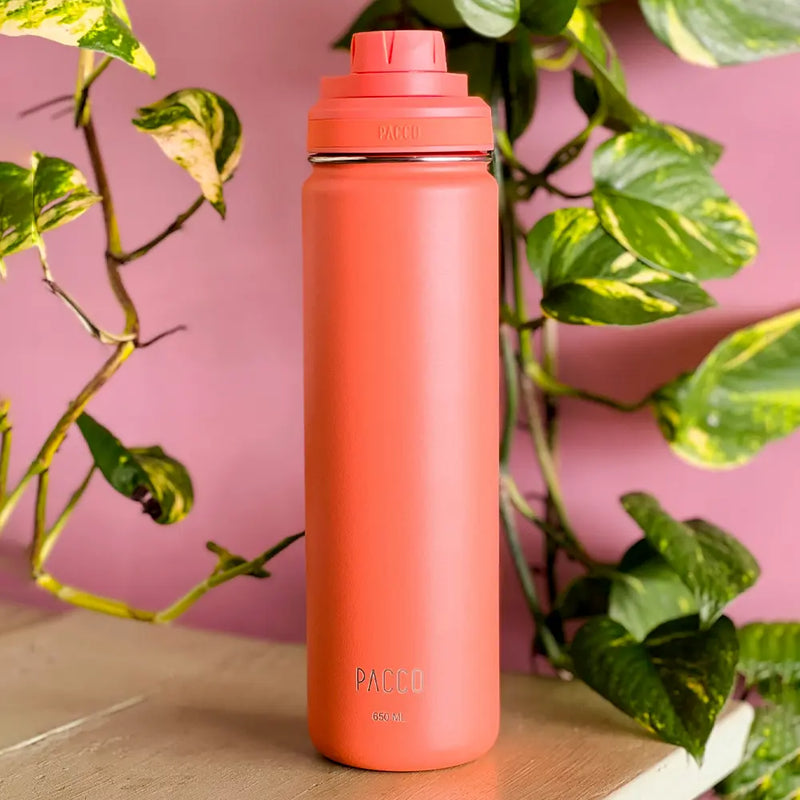 Garrafa Térmica Hydra V2 650ml