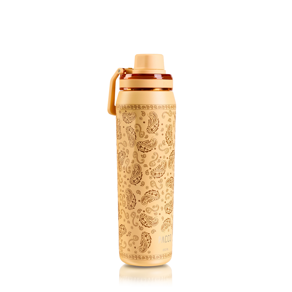 Garrafa Térmica VYTA Paisley 650ml