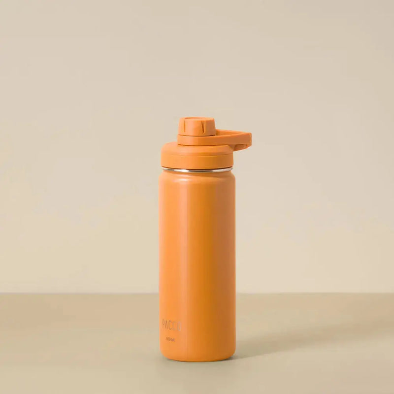 Garrafa Térmica Hydra V2 500ml
