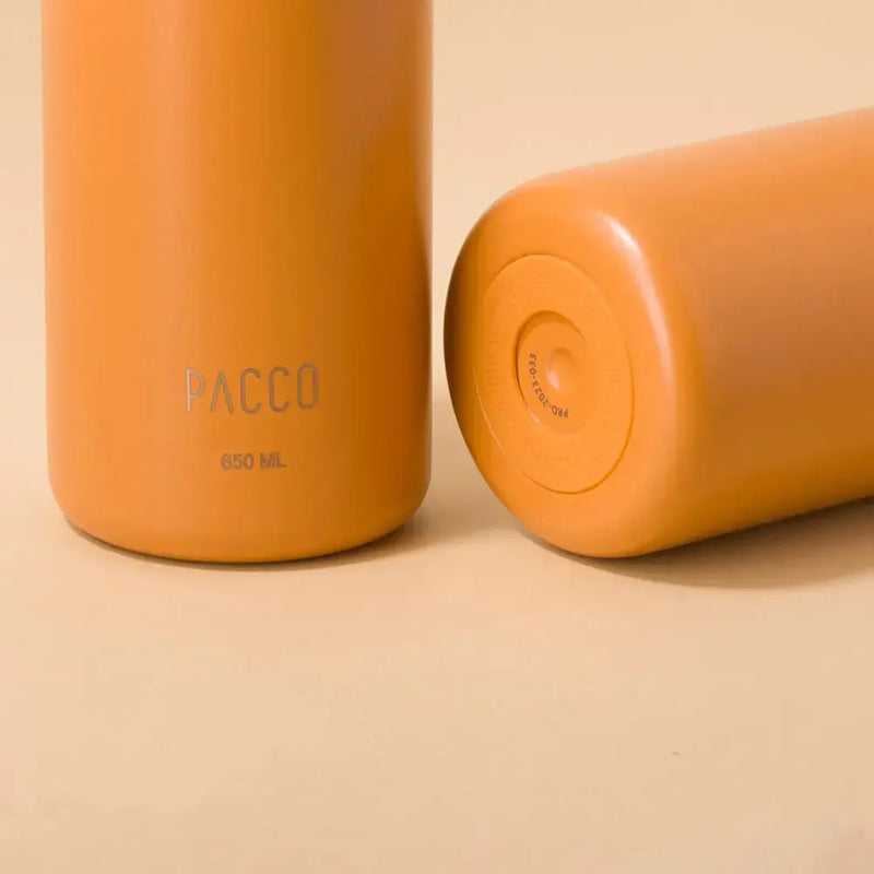 Garrafa Térmica Hydra V2 650ml