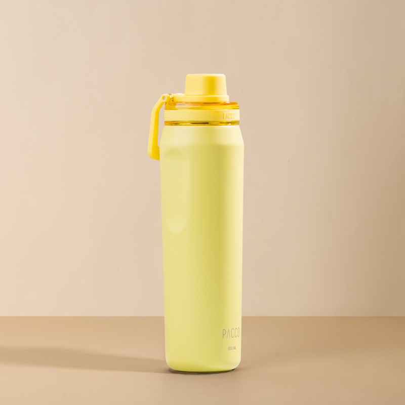 Garrafa Térmica Vyta 650ml