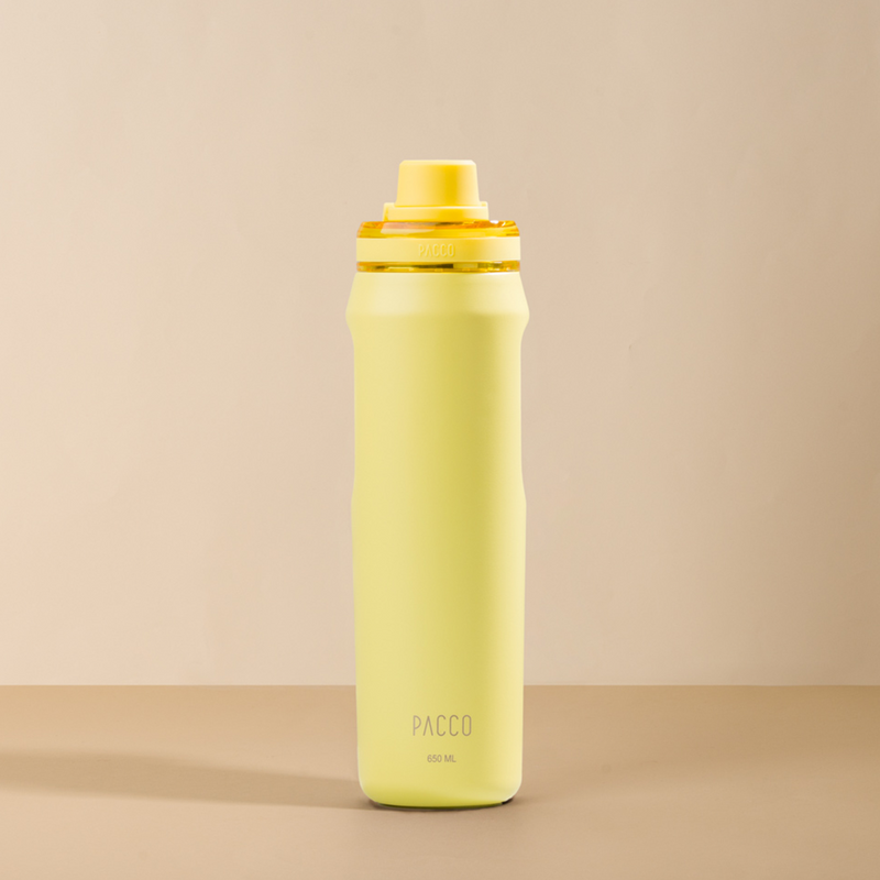 Garrafa Térmica Vyta 650ml
