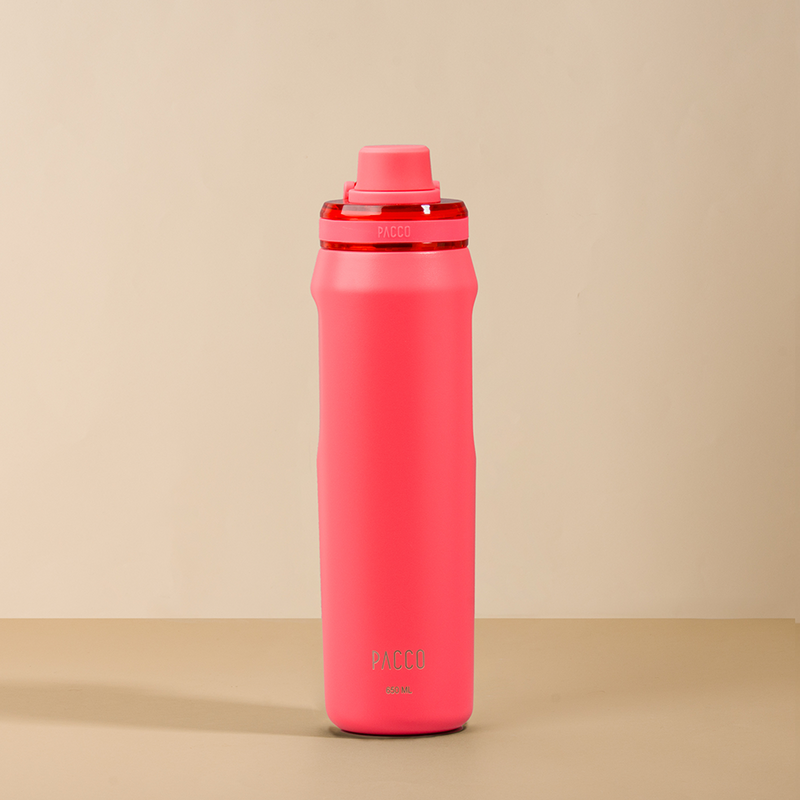 Garrafa Térmica Vyta 650ml
