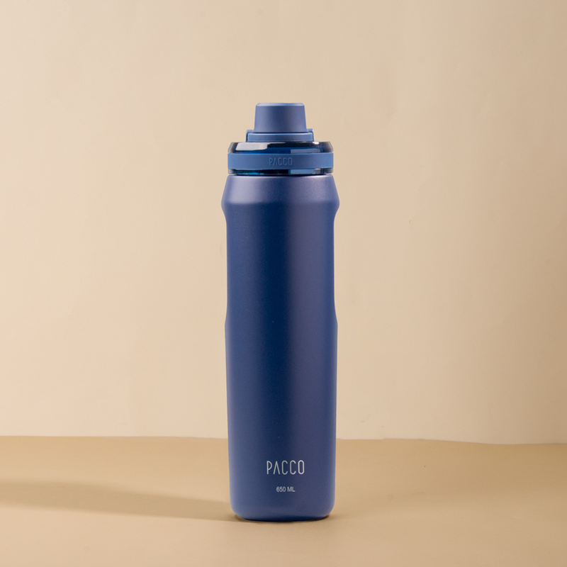 Garrafa Térmica Vyta 650ml