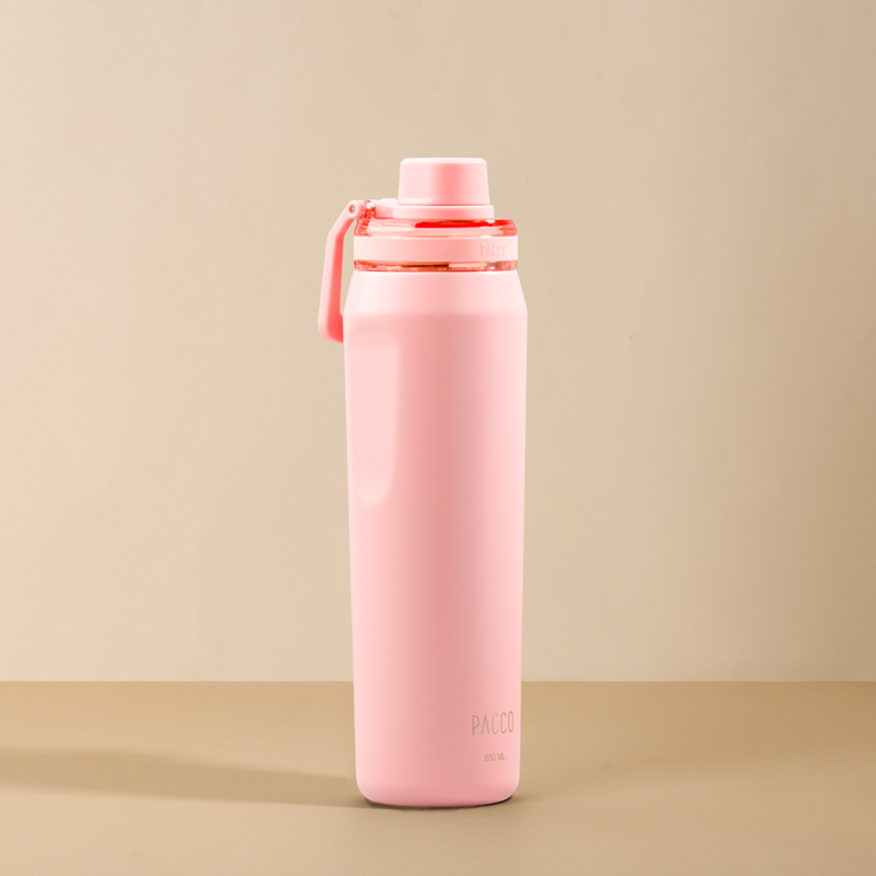 Garrafa Térmica Vyta 650ml
