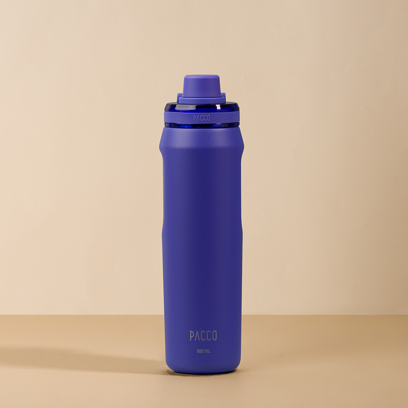 Garrafa Térmica Vyta 650ml