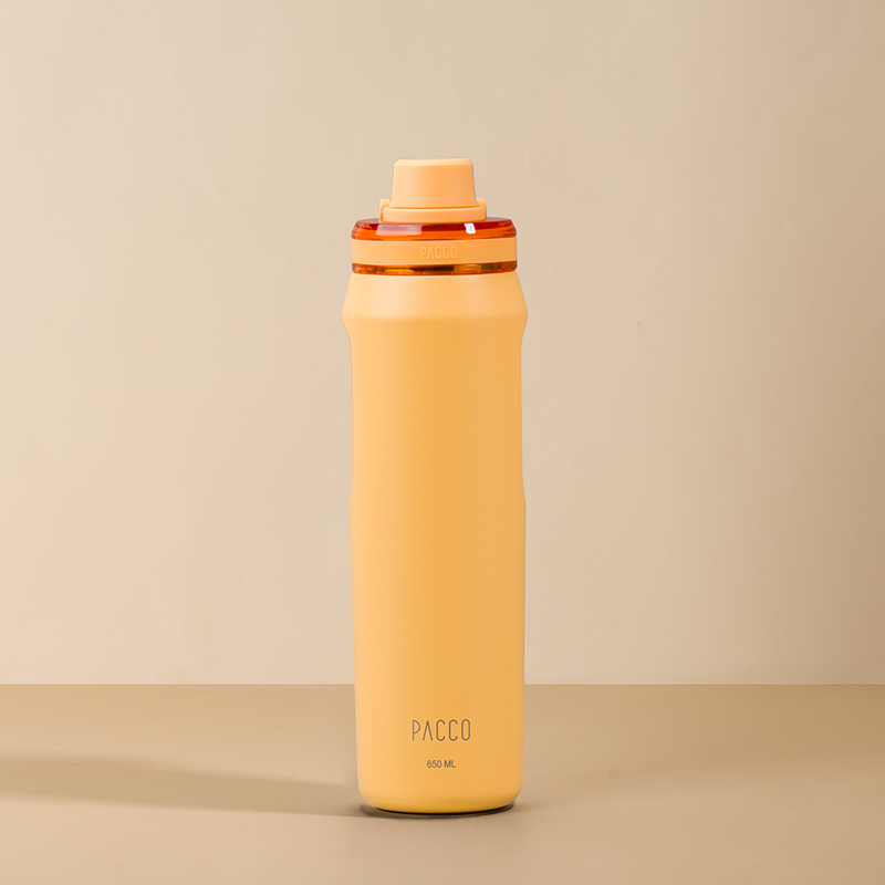Garrafa Térmica Vyta 650ml