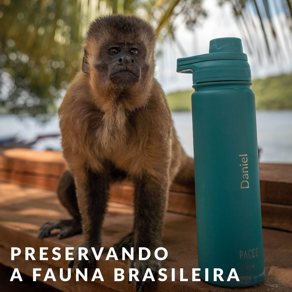 Preservando a fauna brasileira