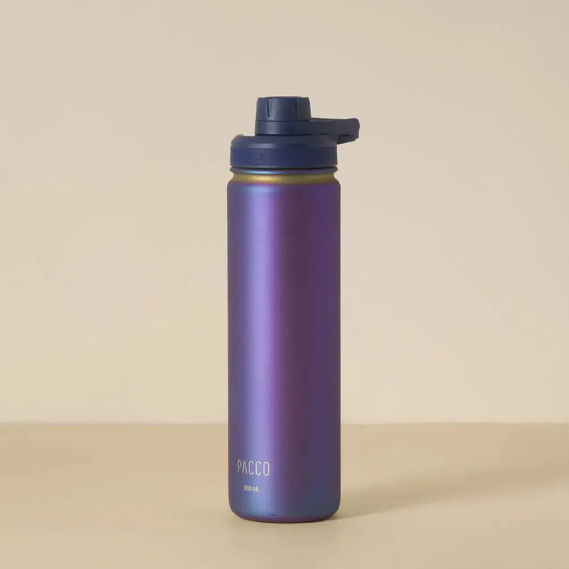 Garrafa Térmica Hydra V2 650ml