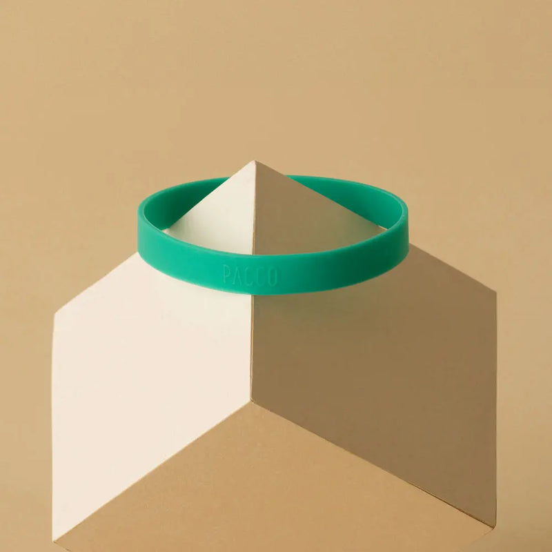 Anel de Silicone