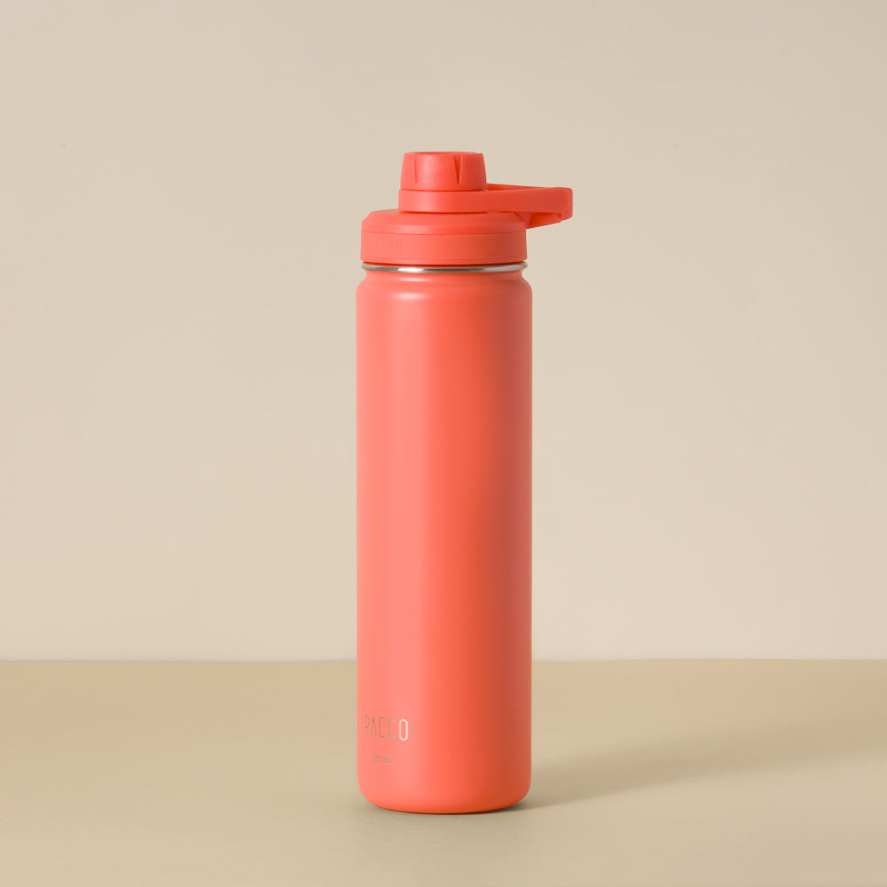 Garrafa Térmica Hydra V2 650ml