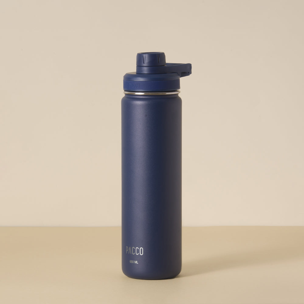 Garrafa Térmica Hydra V2 650ml