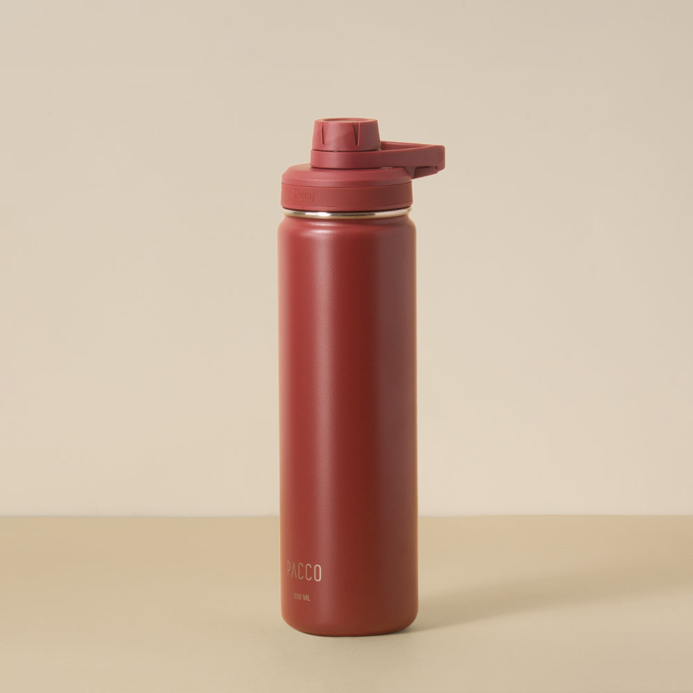 Garrafa Térmica Hydra V2 650ml