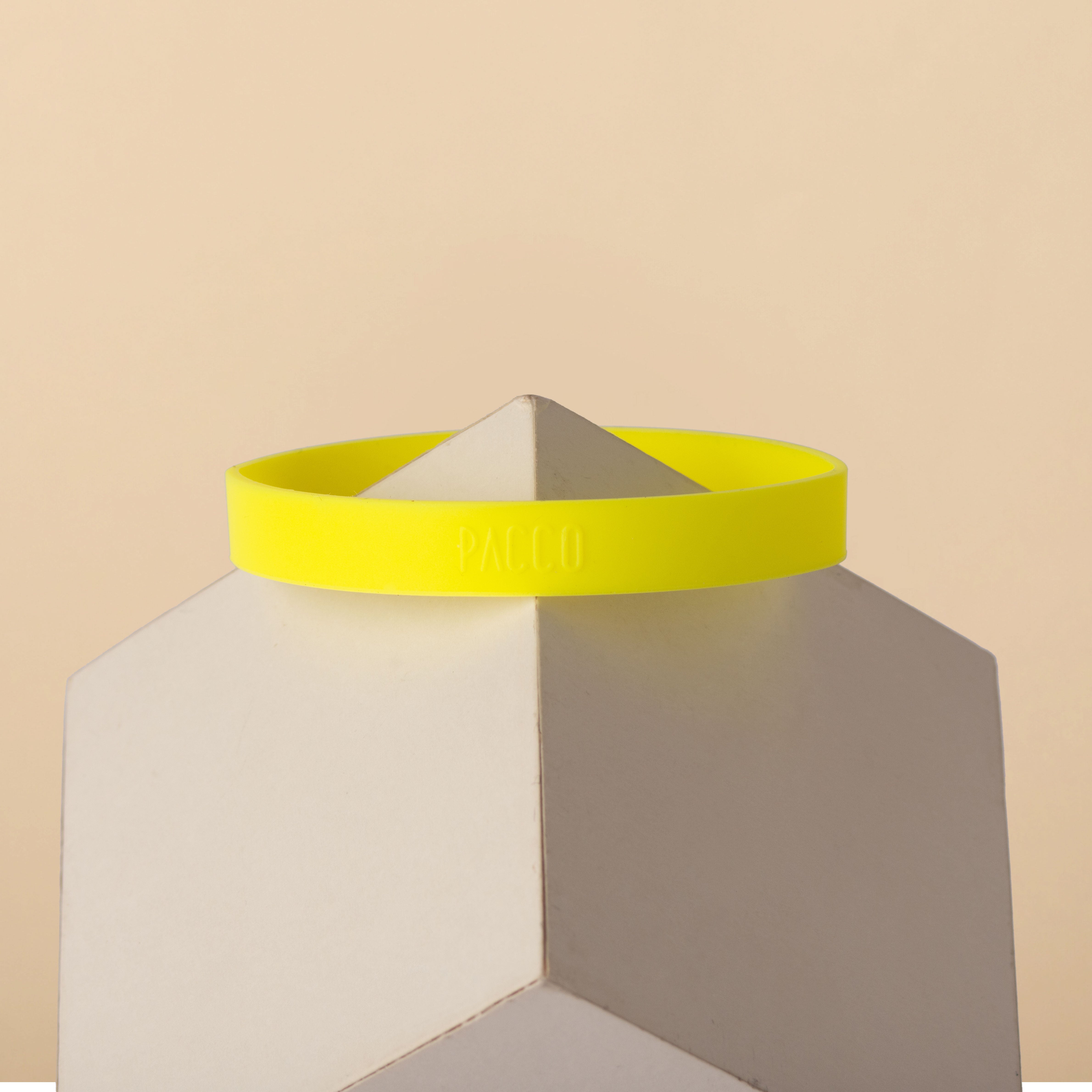 Anel de Silicone