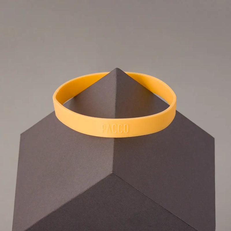 Anel de Silicone