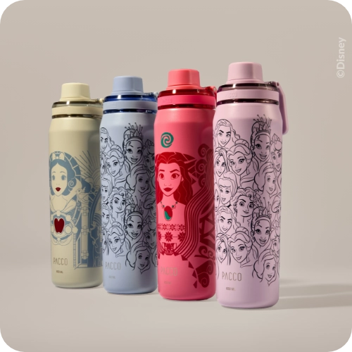 PRINCESAS DISNEY