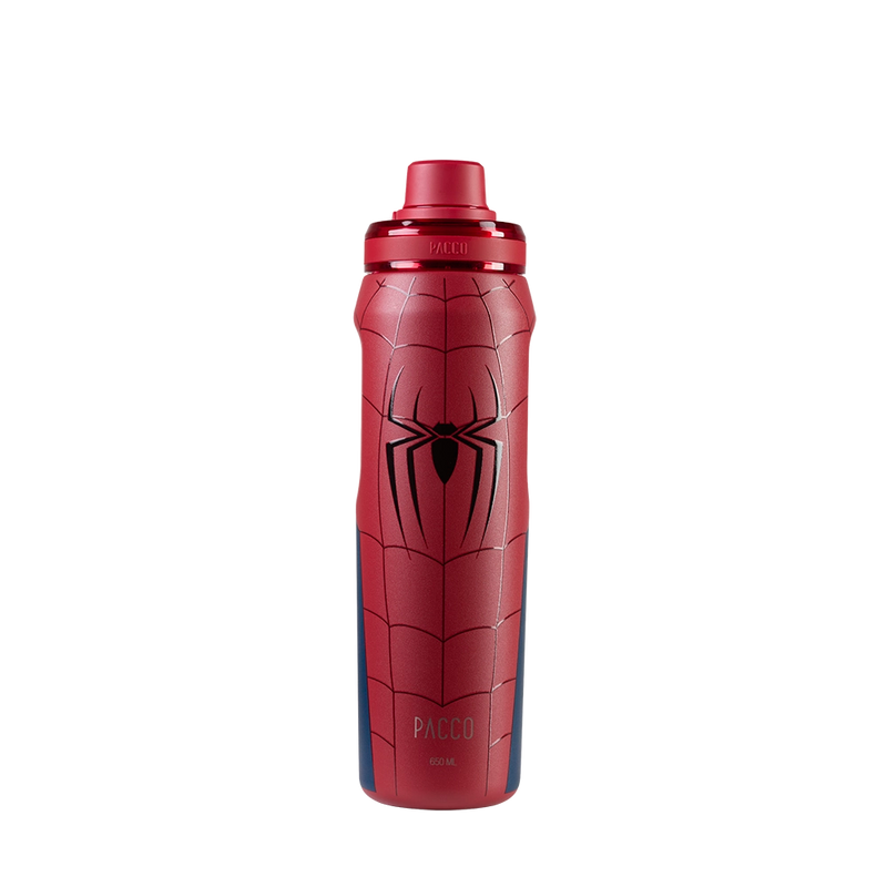 Garrafa Térmica VYTA Spider-Man