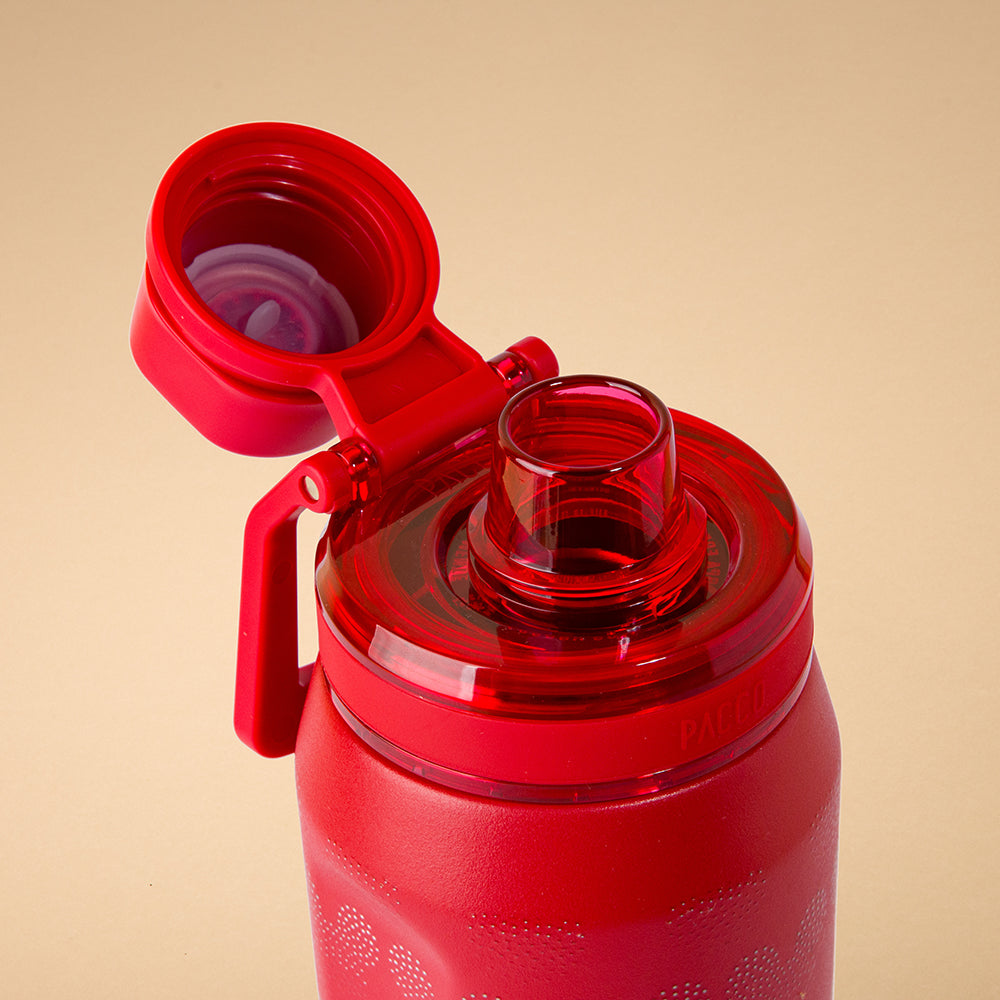 Garrafa Térmica VYTA Mickey Icon