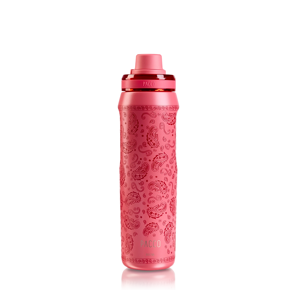 Garrafa Térmica VYTA Paisley 650ml