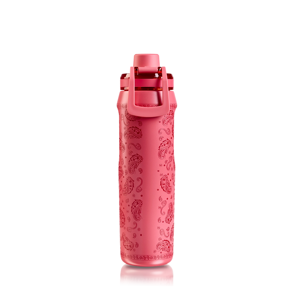 Garrafa Térmica VYTA Paisley 650ml