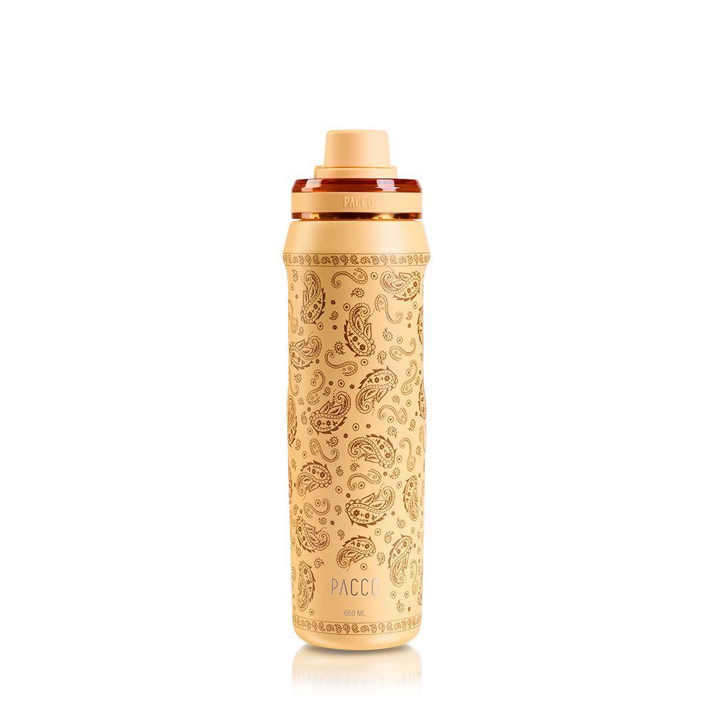 Garrafa Térmica VYTA Paisley 650ml