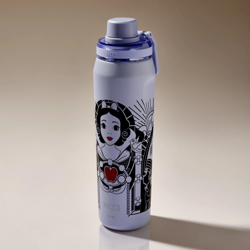 Garrafa Térmica VYTA Princesas Disney