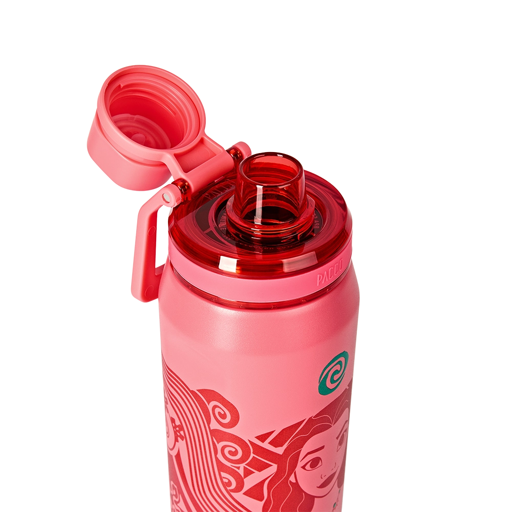 Garrafa Térmica VYTA Princesas Disney