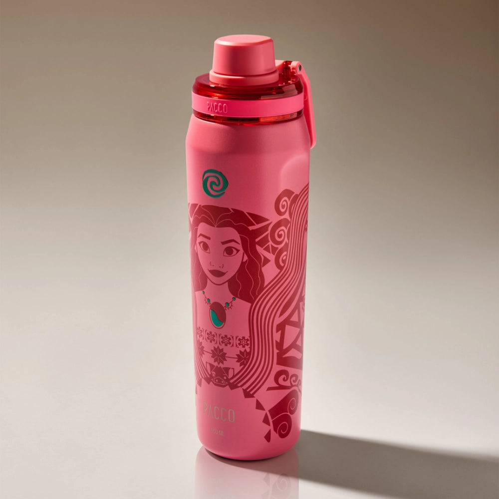 Garrafa Térmica VYTA Princesas Disney