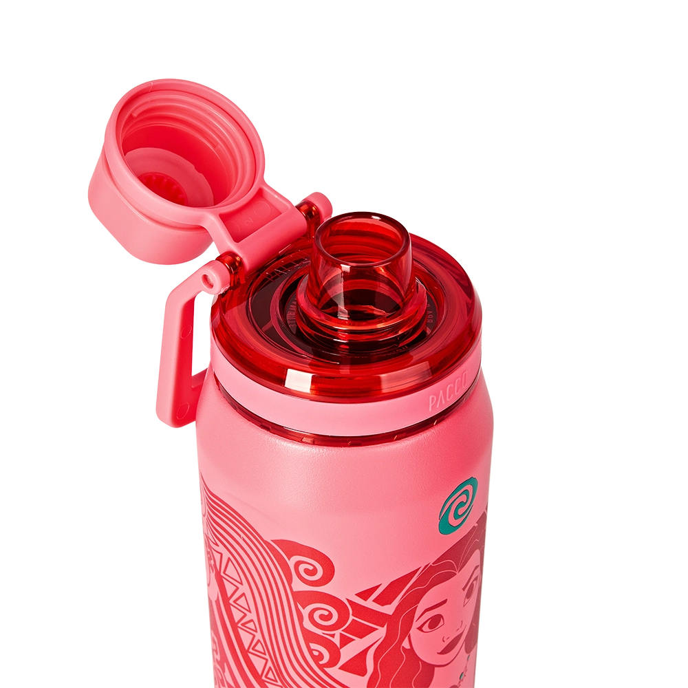 Garrafa Térmica VYTA Princesas Disney