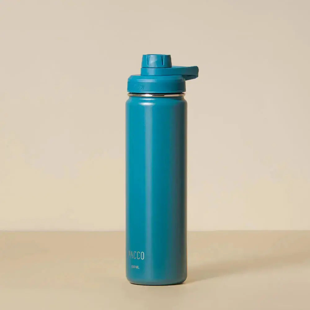 Garrafa Térmica Hydra V2 650ml