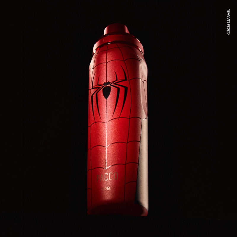 Garrafa Térmica VYTA Spider-Man