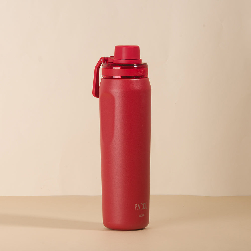 Garrafa Térmica VYTA 650ml