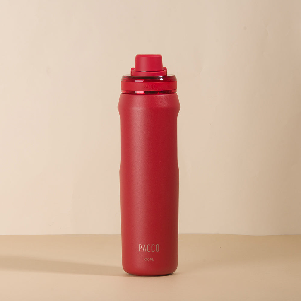 Garrafa Térmica Vyta 650ml