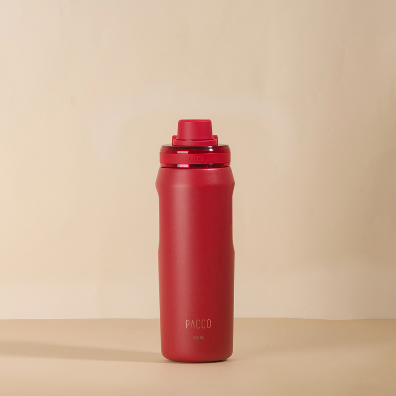 Garrafa Térmica Vyta 500ml