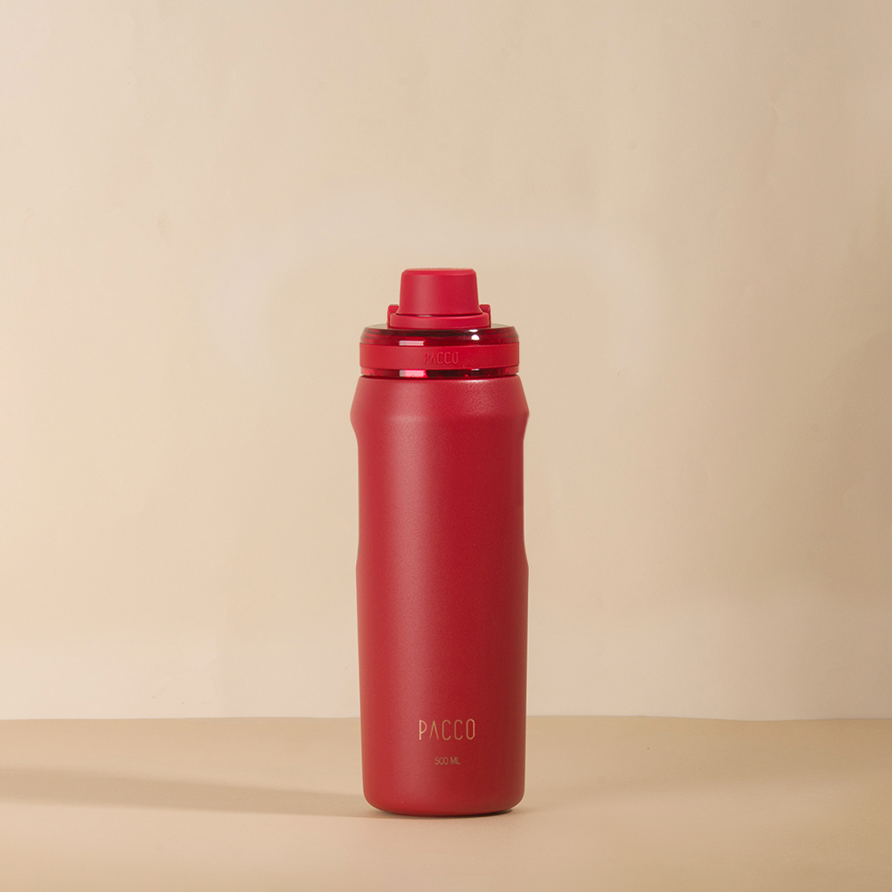 Garrafa Térmica Vyta 500ml
