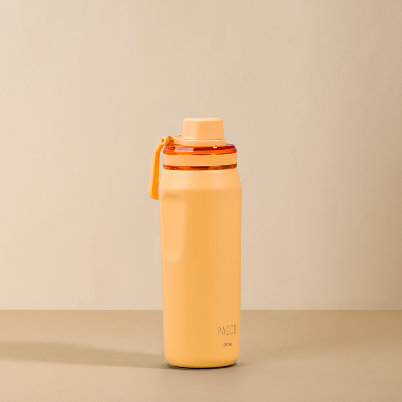 Garrafa Térmica Vyta 500ml