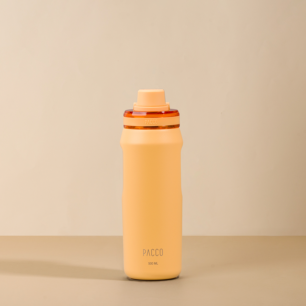Garrafa Térmica Vyta 500ml