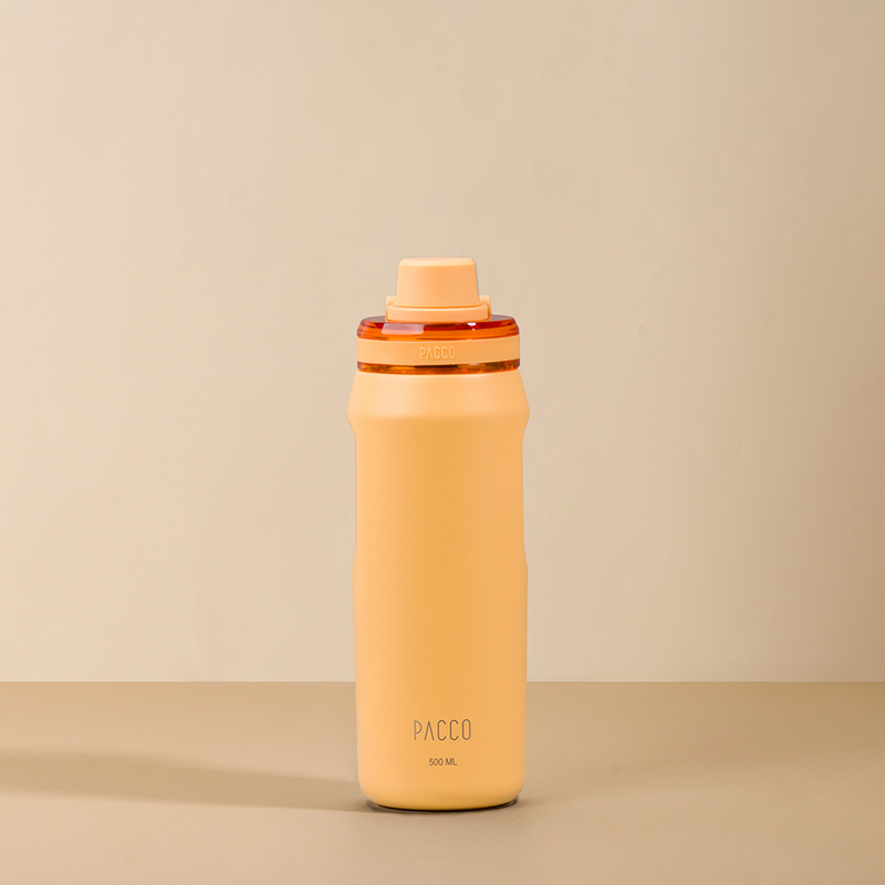 Garrafa Térmica Vyta 500ml