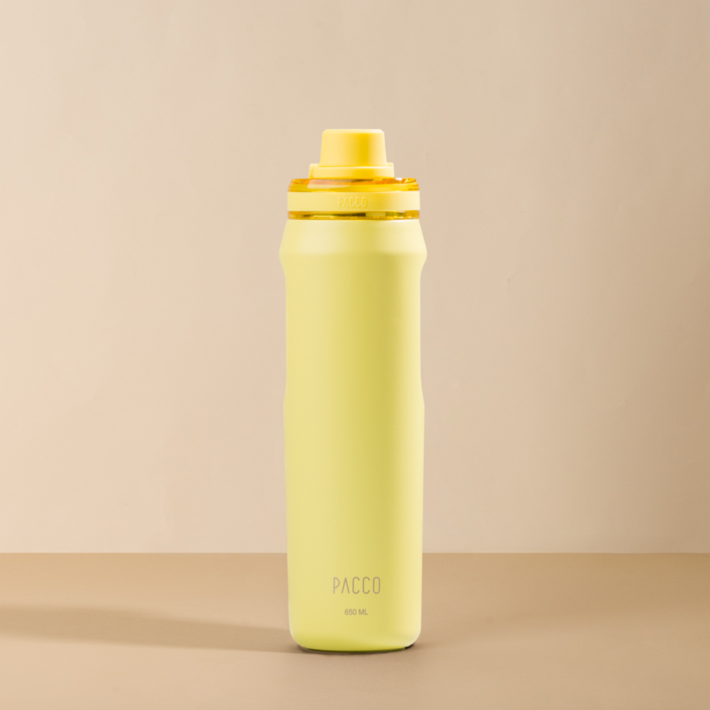 Garrafa Térmica Vyta 650ml