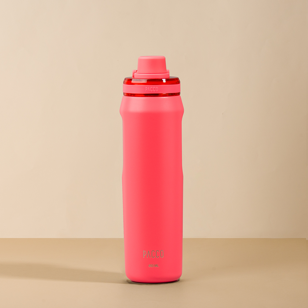 Garrafa Térmica Vyta 650ml