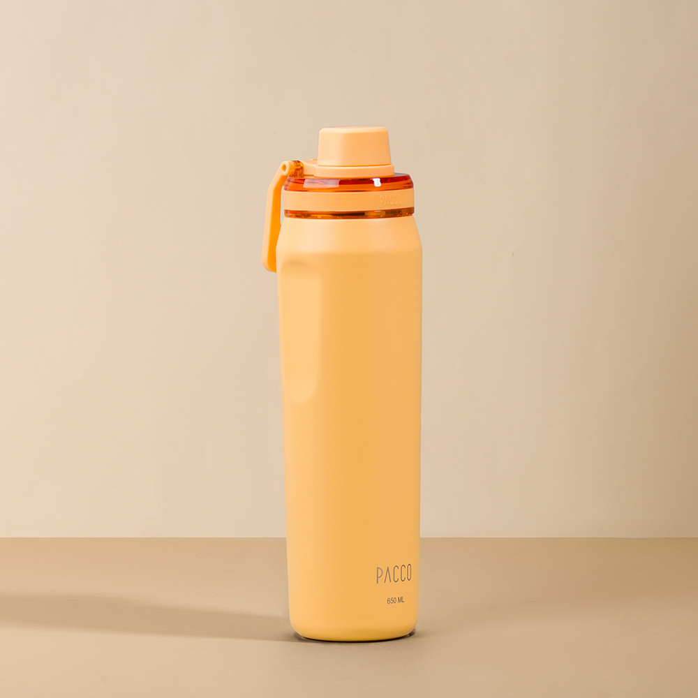 Garrafa Térmica VYTA 650ml